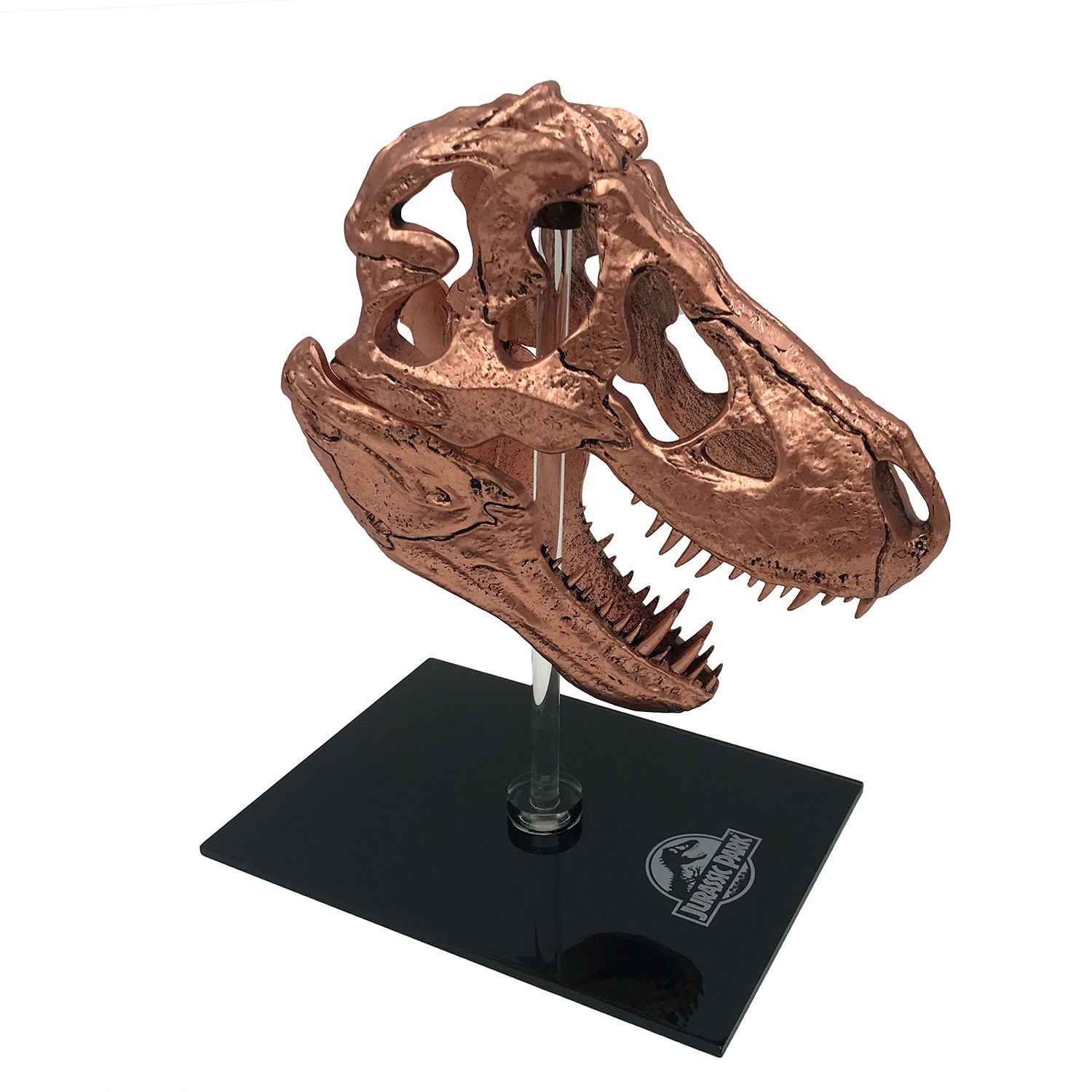T-Rex Skull (Prototype Shown) View 8