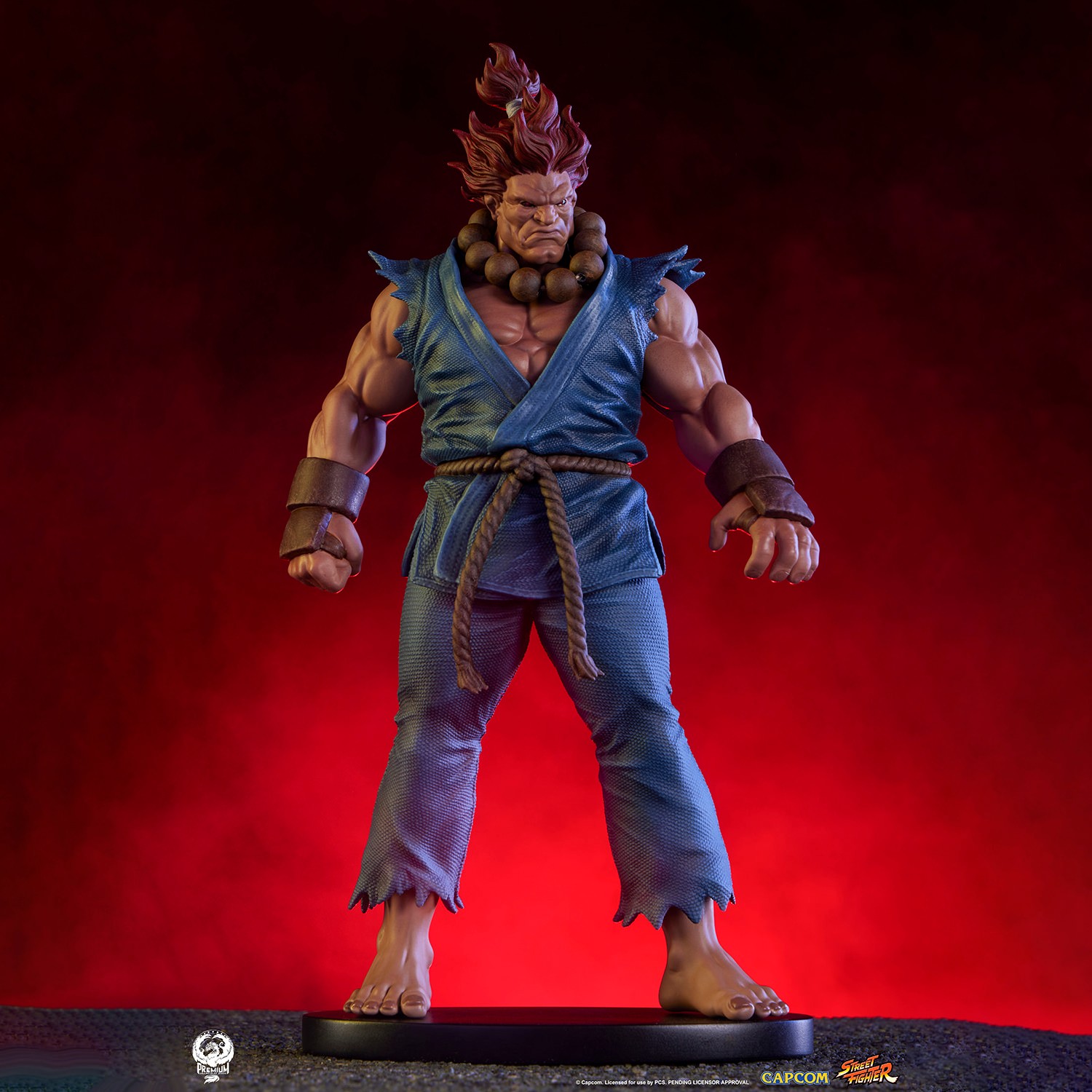 Street Fighter Akuma & Dhalsim 1:10 Scale Statue  (Prototype Shown) View 3