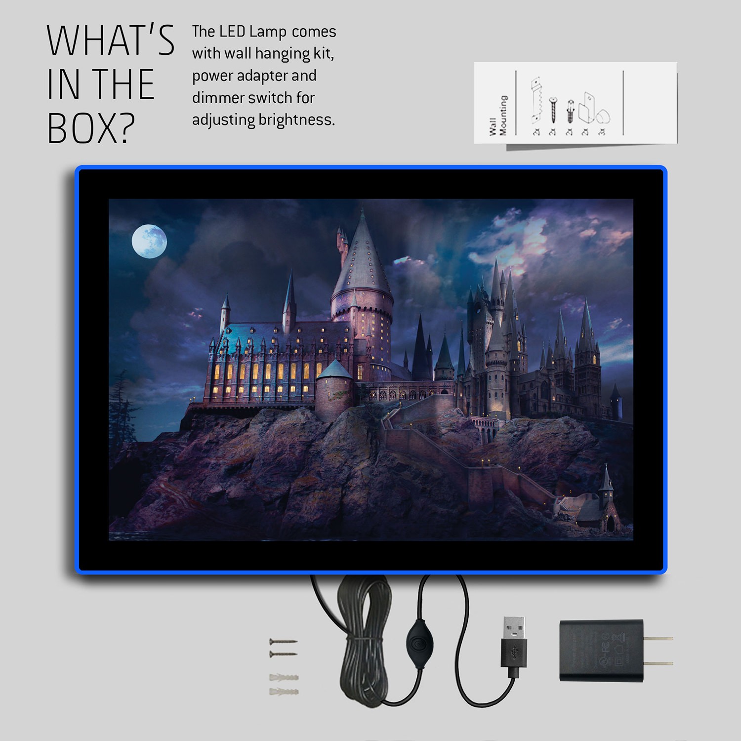 Harry Potter Harry Potter Hogwarts LED Mini Poster Wall Light  View 5