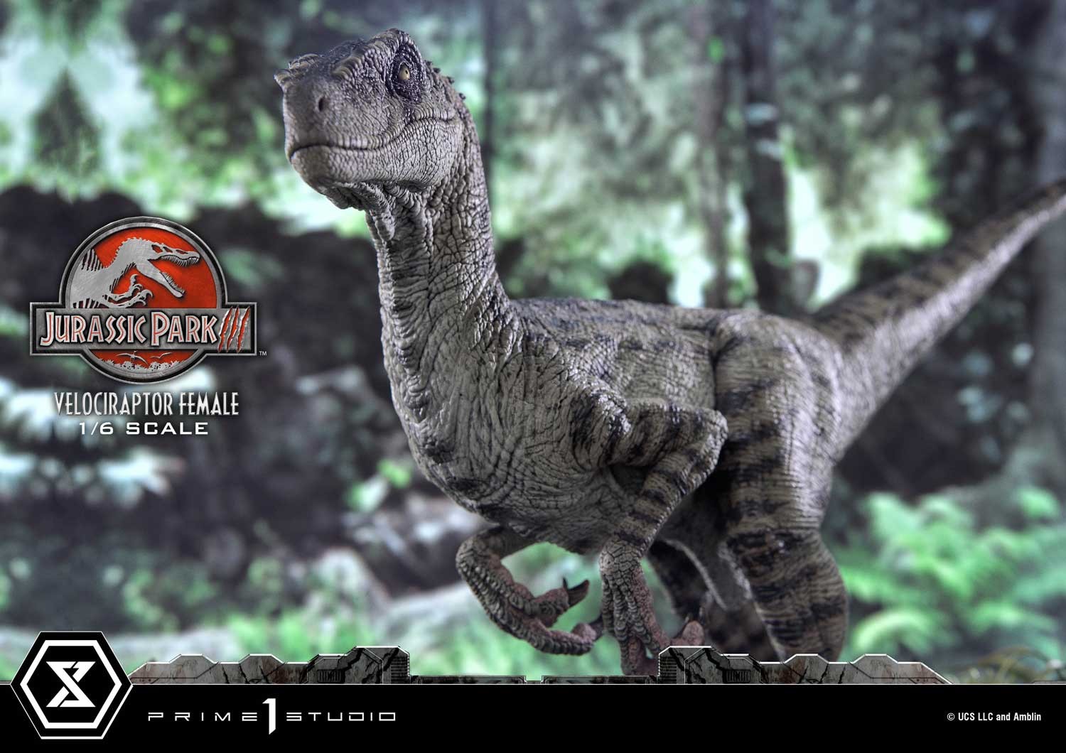 Jurassic Park Velociraptor Female Statues  Collector Edition (Prototype Shown) View 23