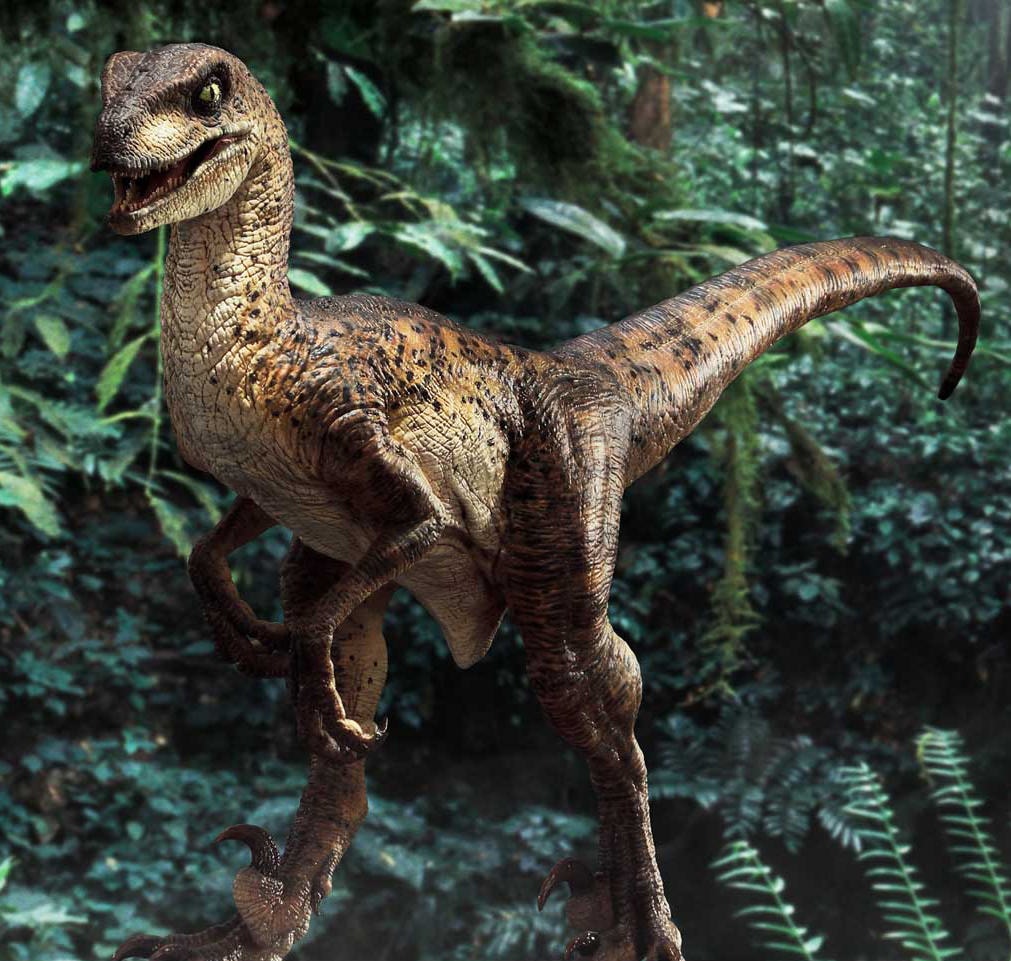 Velociraptor (Open Mouth) 1:10 Scale Statue by Prime 1