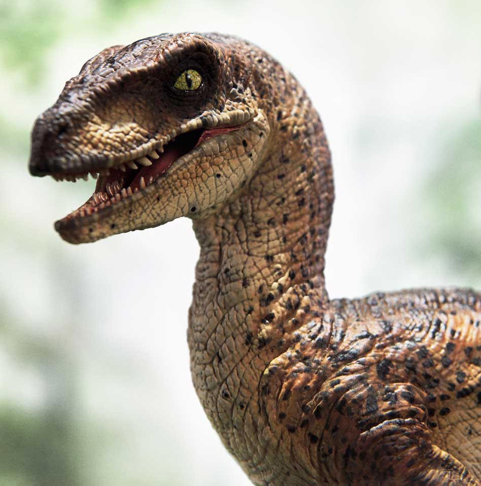 Velociraptor (Open Mouth) (Prototype Shown) View 3