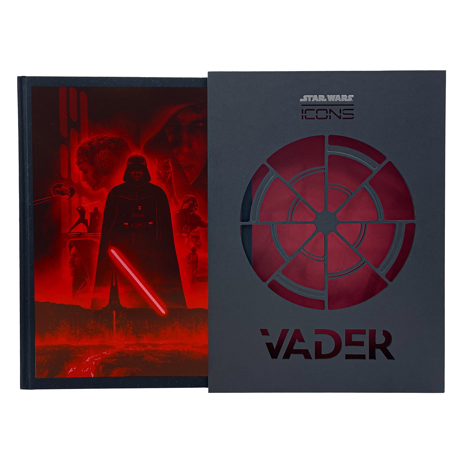 Star Wars Icons: Darth Vader (Prototype Shown) View 4