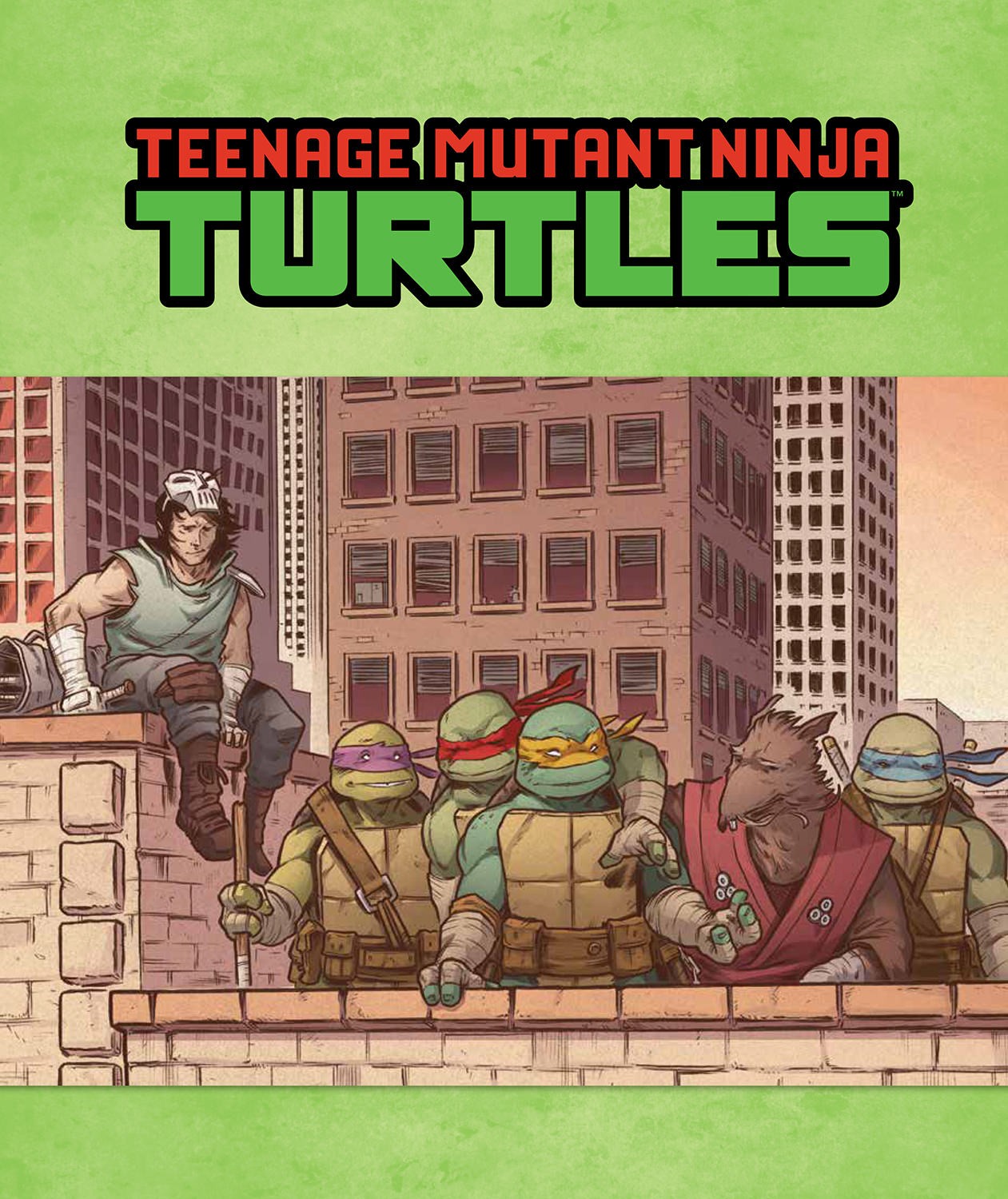 Teenage Mutant Ninja Turtles: The Ultimate Visual History (Prototype Shown) View 5