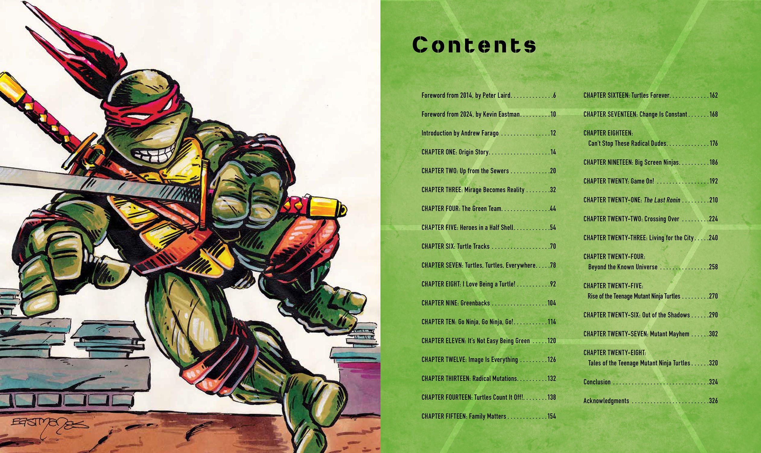 Teenage Mutant Ninja Turtles: The Ultimate Visual History (Prototype Shown) View 7