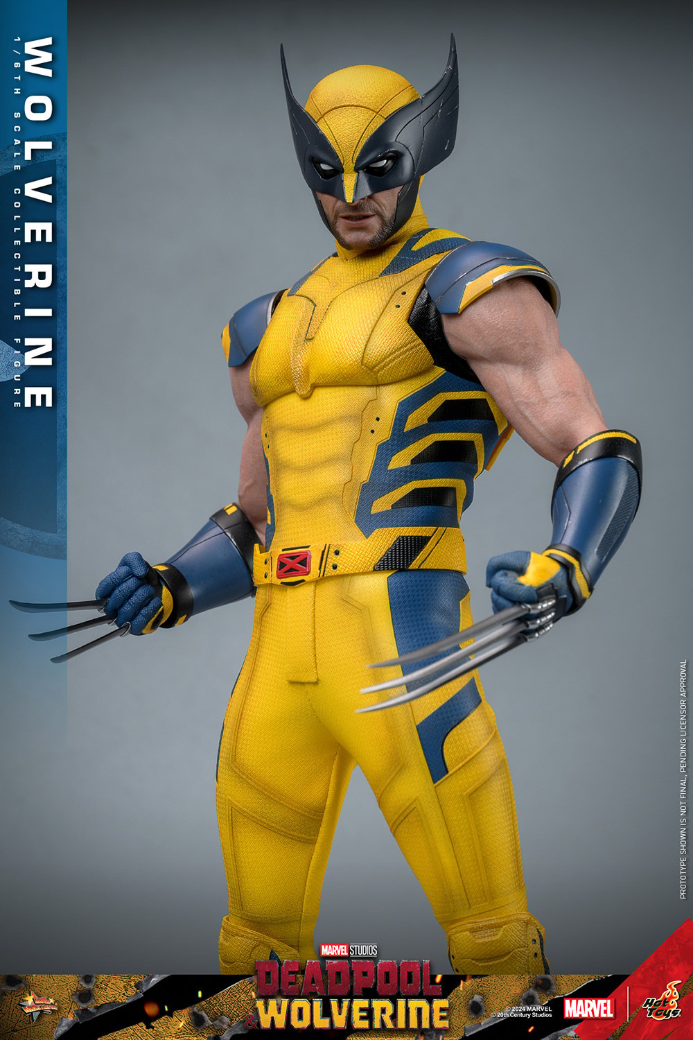 Wolverine Sixth Scale Action Figure by Hot Toys: full body, standing straight with legs apart, arms bent down, claws out. Collector Edition (Prototype Shown) View 8