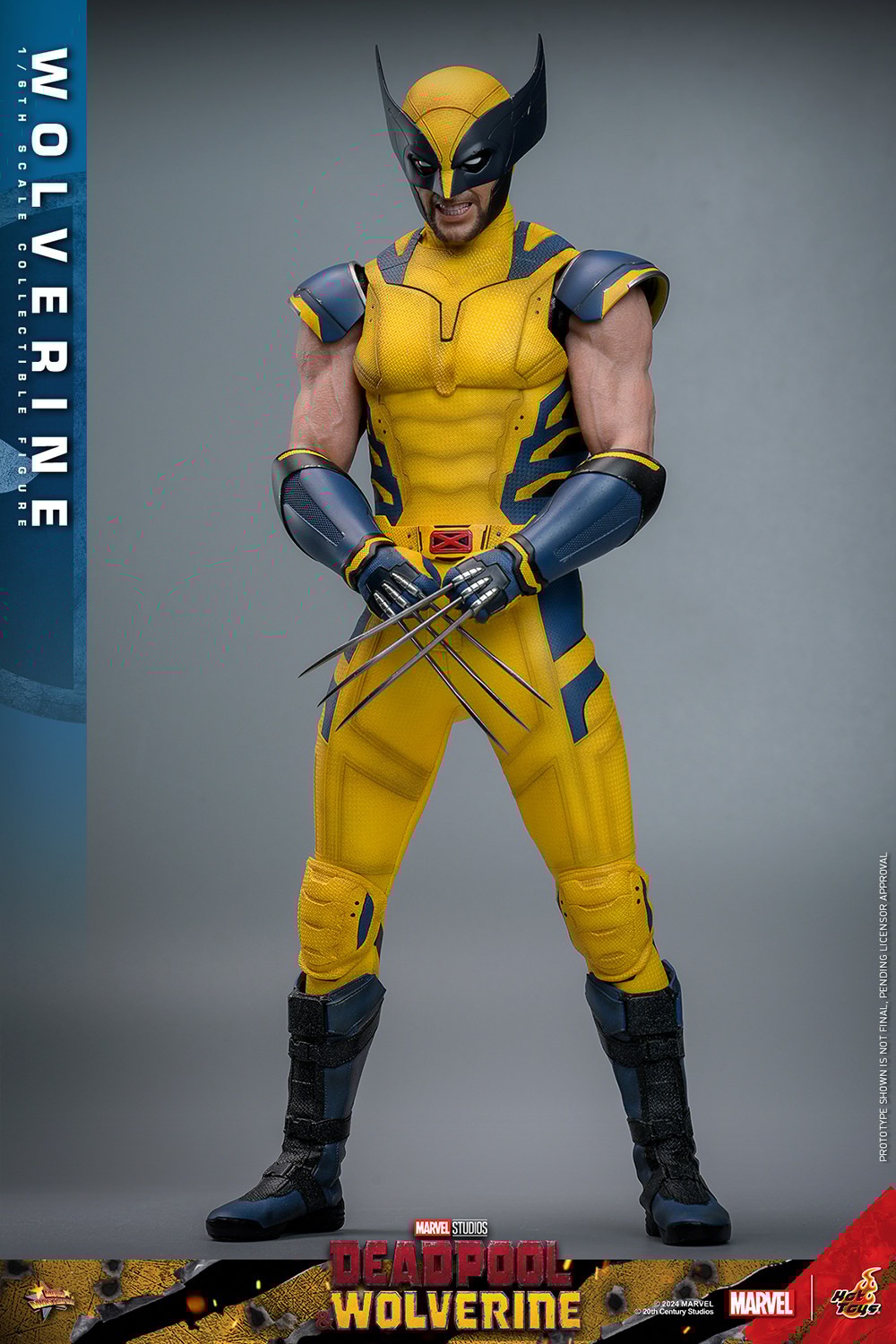 Wolverine (Deluxe Version) Sixth scale Figure by Hot Toys