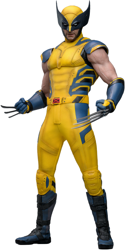 商品画像：Hot Toys 1/6 Wolverine 1973 Deluxe Exclusive 3
