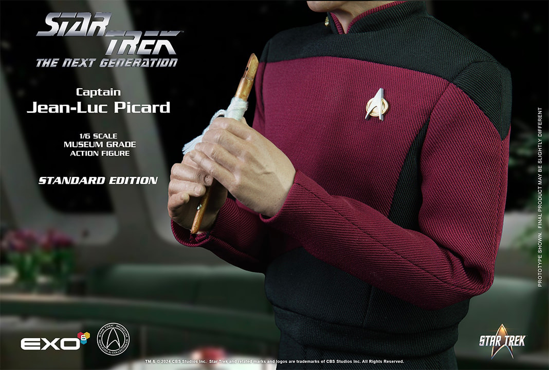Star Trek Captain Jean-Luc Picard Sixth Scale Figure  (Prototype Shown) View 19