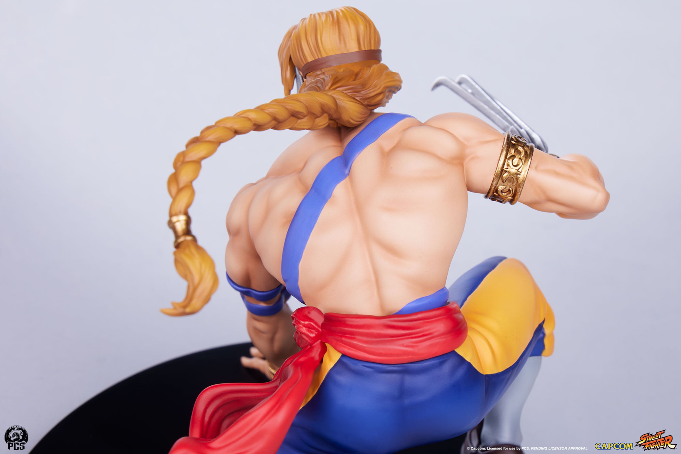 Street Fighter Ken & Vega 1:10 Scale Statue  (Prototype Shown) View 23