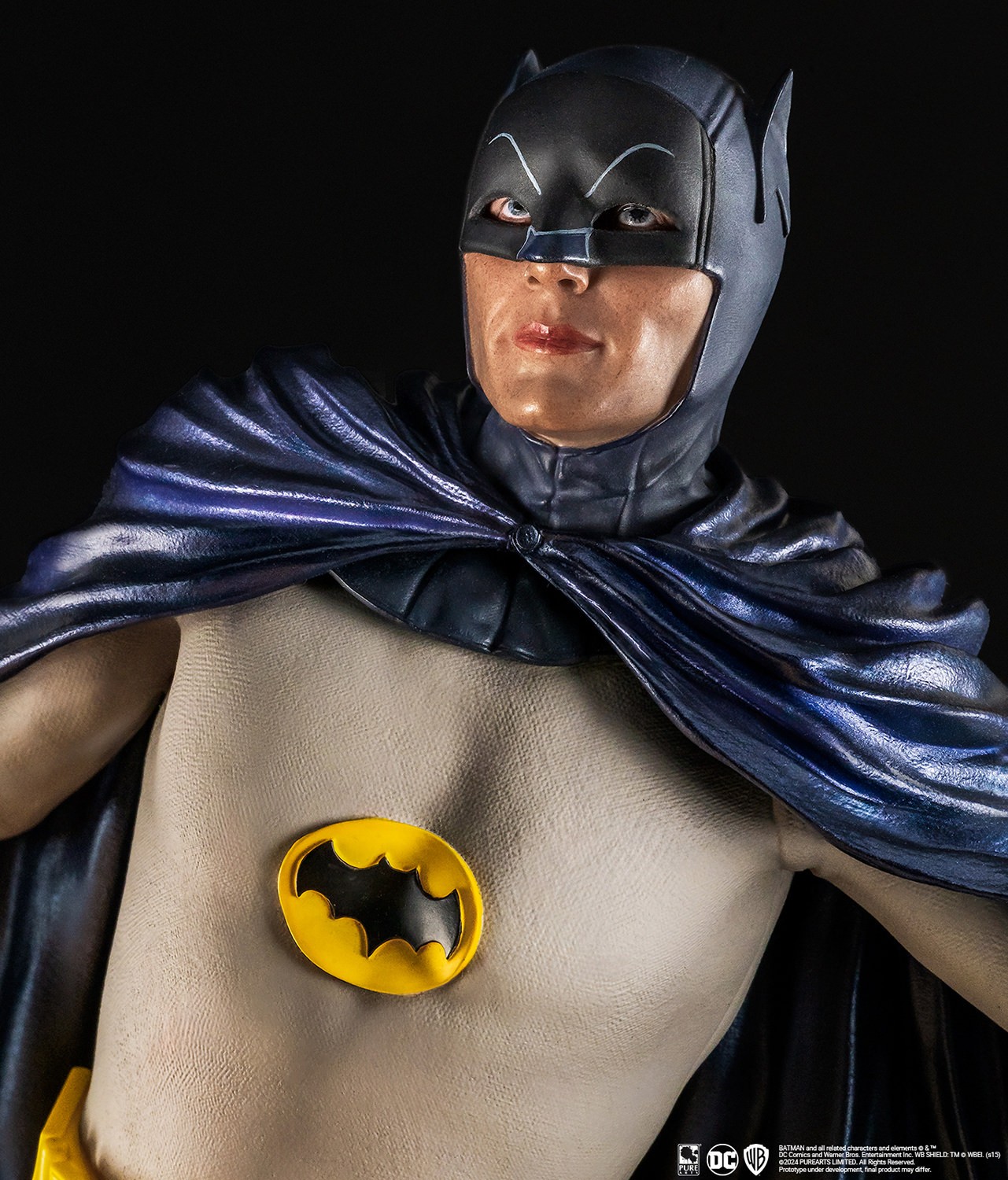DC Comics Batman and Robin Diorama  (Prototype Shown) View 3