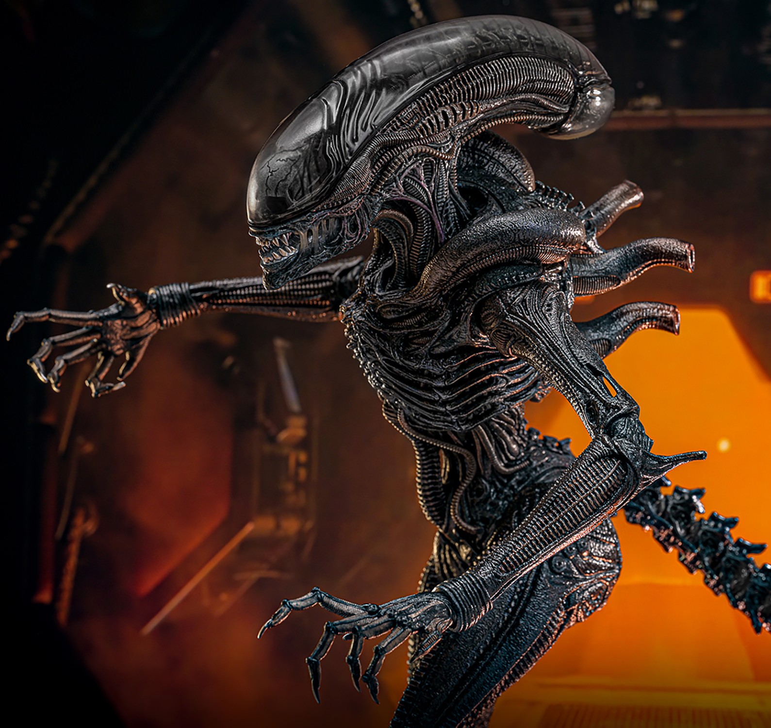 Sideshow ALIEN フィギュア &ブルーレイセット Scorched Xenomorph Sixth Scale Figure by Hot Toys | Sideshow
