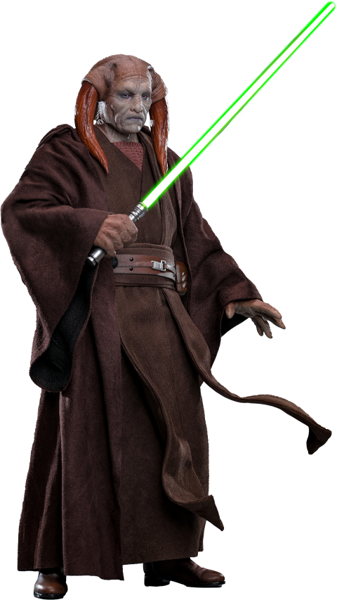Star Wars Saesee Tiin™ Sixth Scale Figure  (Prototype Shown) View 21