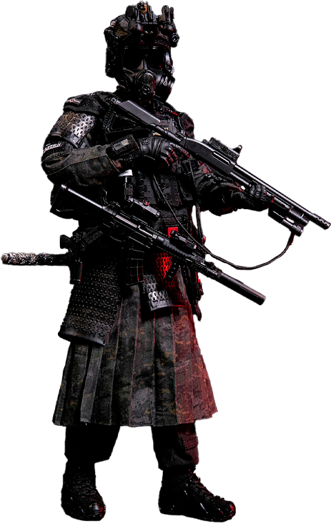 Jinyiwei (Special Warfare Ming Dynasty) DAMTOYS X TRN