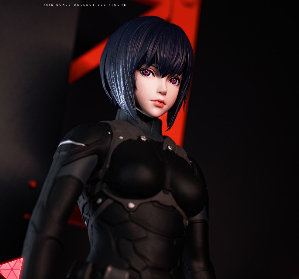 Motoko Kusanagi (Combat Suit ver.) Sixth Scale Figure by Damtoys