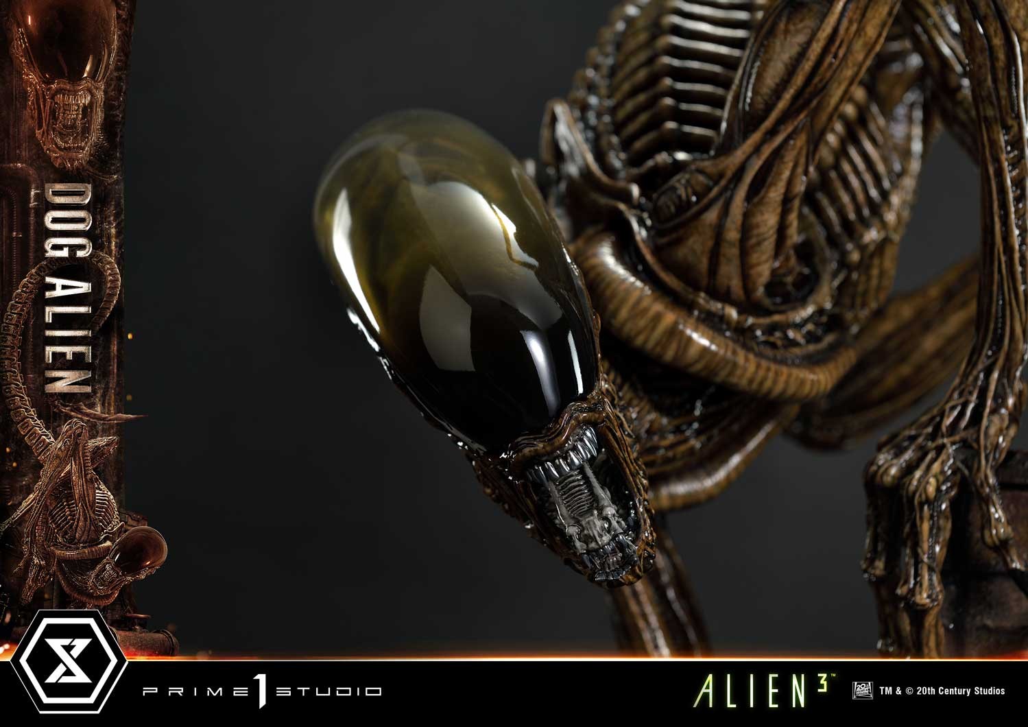 Alien Dog Alien 1:3 Scale Statue  (Prototype Shown) View 16