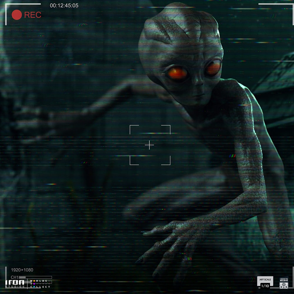 I Want To Believe ET Varginha 1:10 Scale Statue  (Prototype Shown) View 1