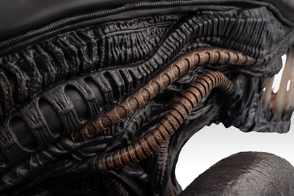 SF・ファンタジー・ホラー Alien Xenomorph bust Alien Xenomorph Life-Size Bust by Hollywood Collectibles