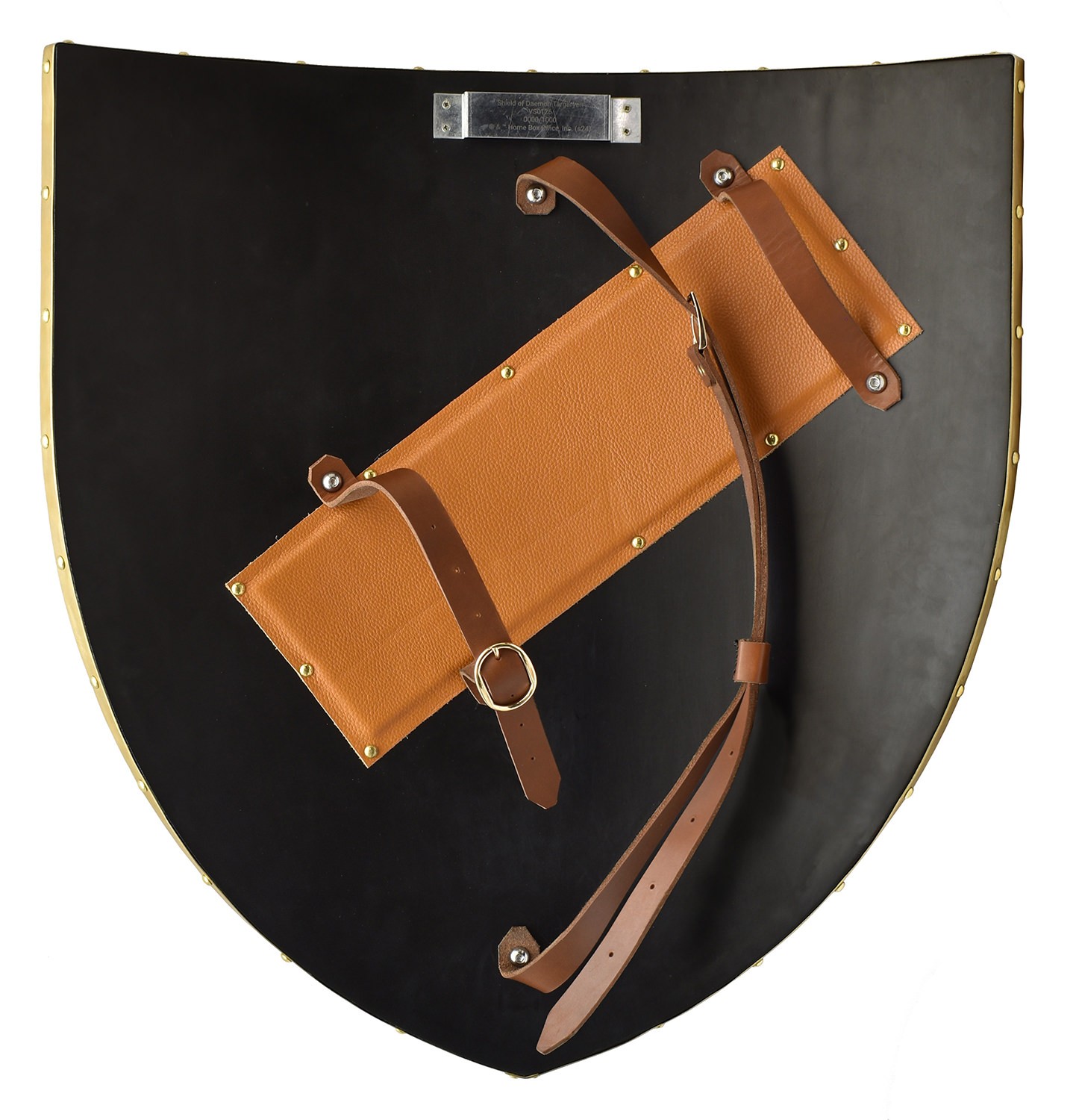 Game of Thrones Targaryen Shield Prop Replica  (Prototype Shown) View 5