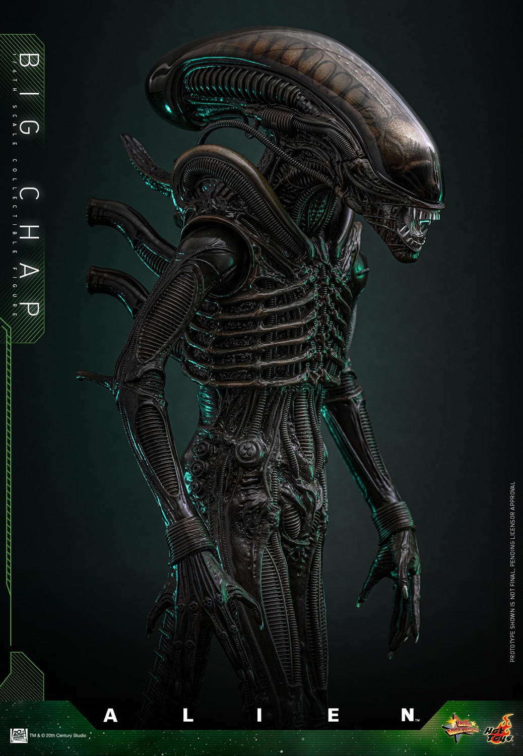 Alien Big Chap (Special Edition) Sixth Scale Figure  Exclusive Edition (Prototype Shown) View 4