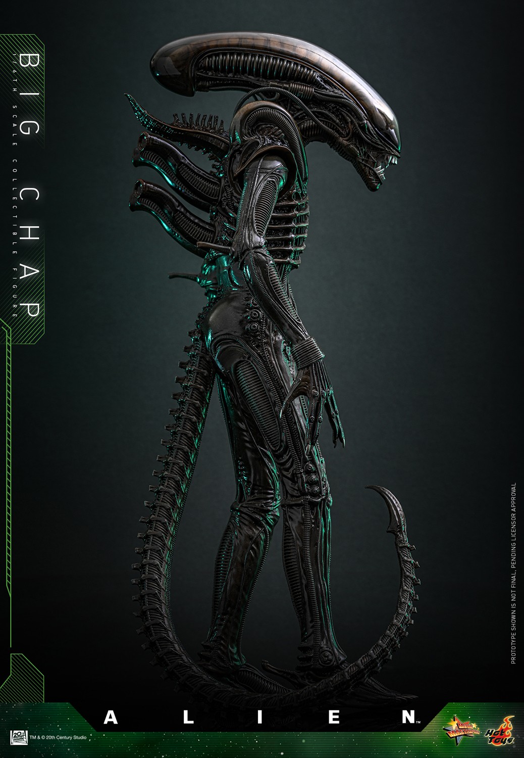 Alien Big Chap (Special Edition) Sixth Scale Figure  Exclusive Edition (Prototype Shown) View 6