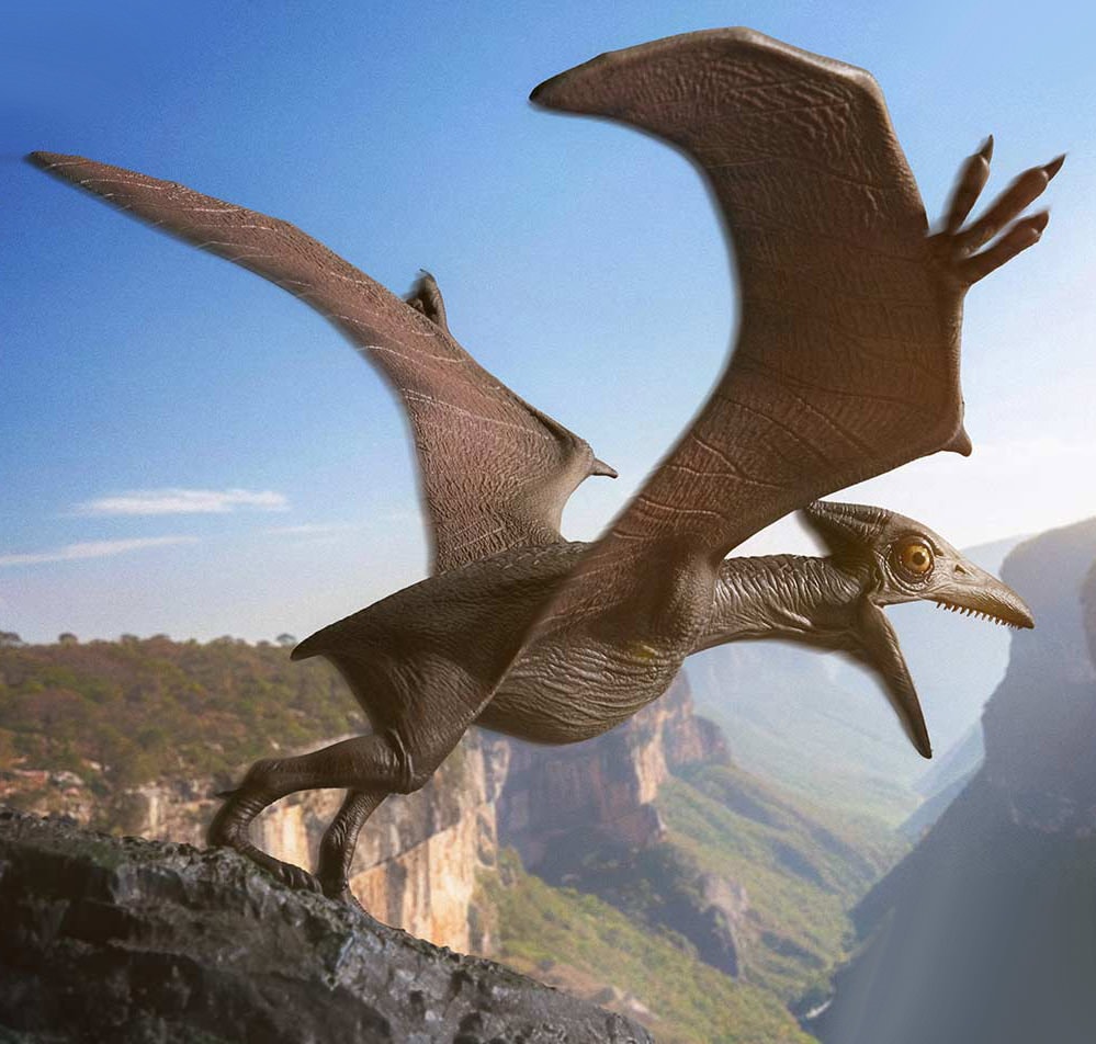 Jurassic Park Pteranodon (Bonus Version) Statues  (Prototype Shown) View 4