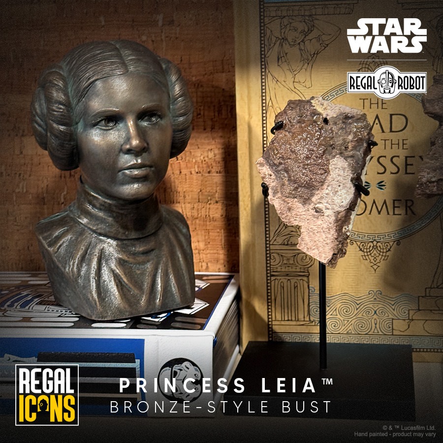 Star Wars Princess Leia Bust  (Prototype Shown) View 9