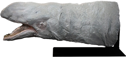 Star Wars Space Slug Prop Replica  (Prototype Shown) View 12