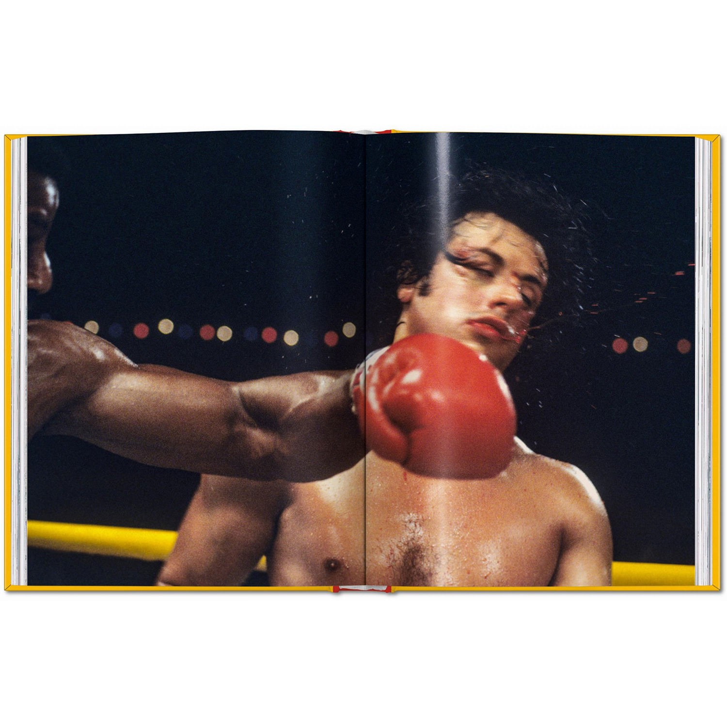 Rocky Rocky. The Complete Films Book  (Prototype Shown) View 4