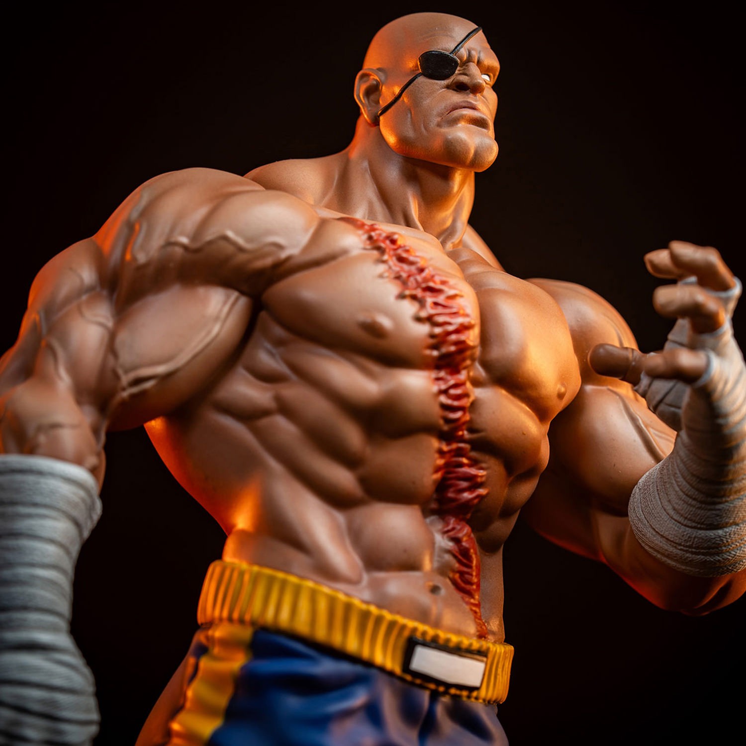 Street Fighter Sagat & Juli 1:10 Scale Statue  (Prototype Shown) View 4