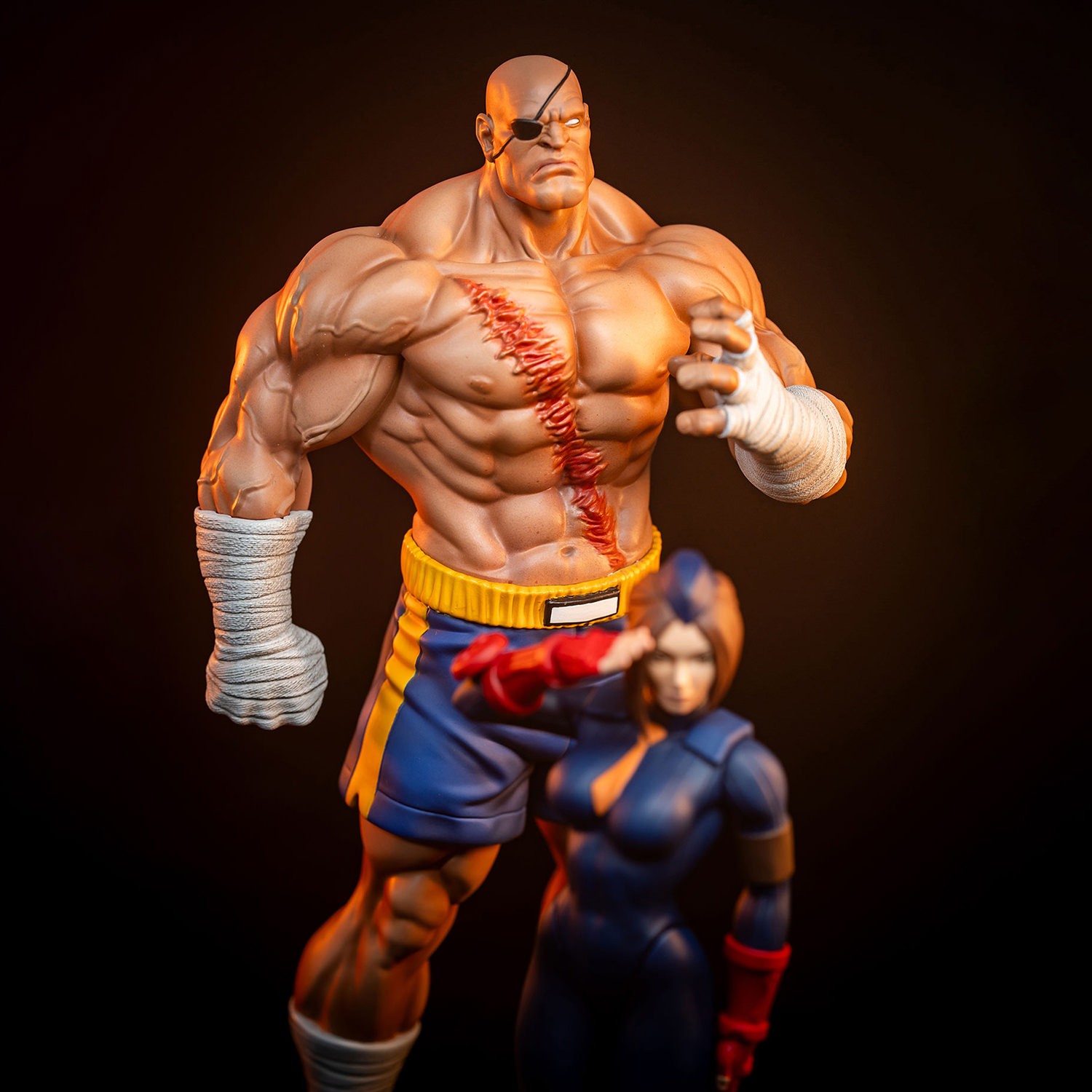 Street Fighter Sagat & Juli 1:10 Scale Statue  (Prototype Shown) View 5