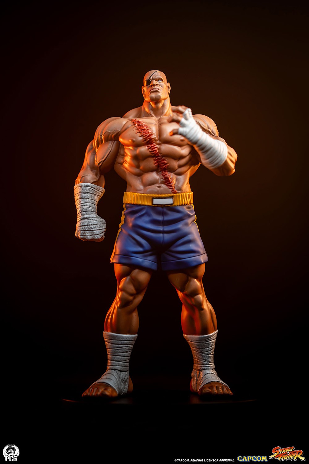 Street Fighter Sagat & Juli 1:10 Scale Statue  (Prototype Shown) View 7
