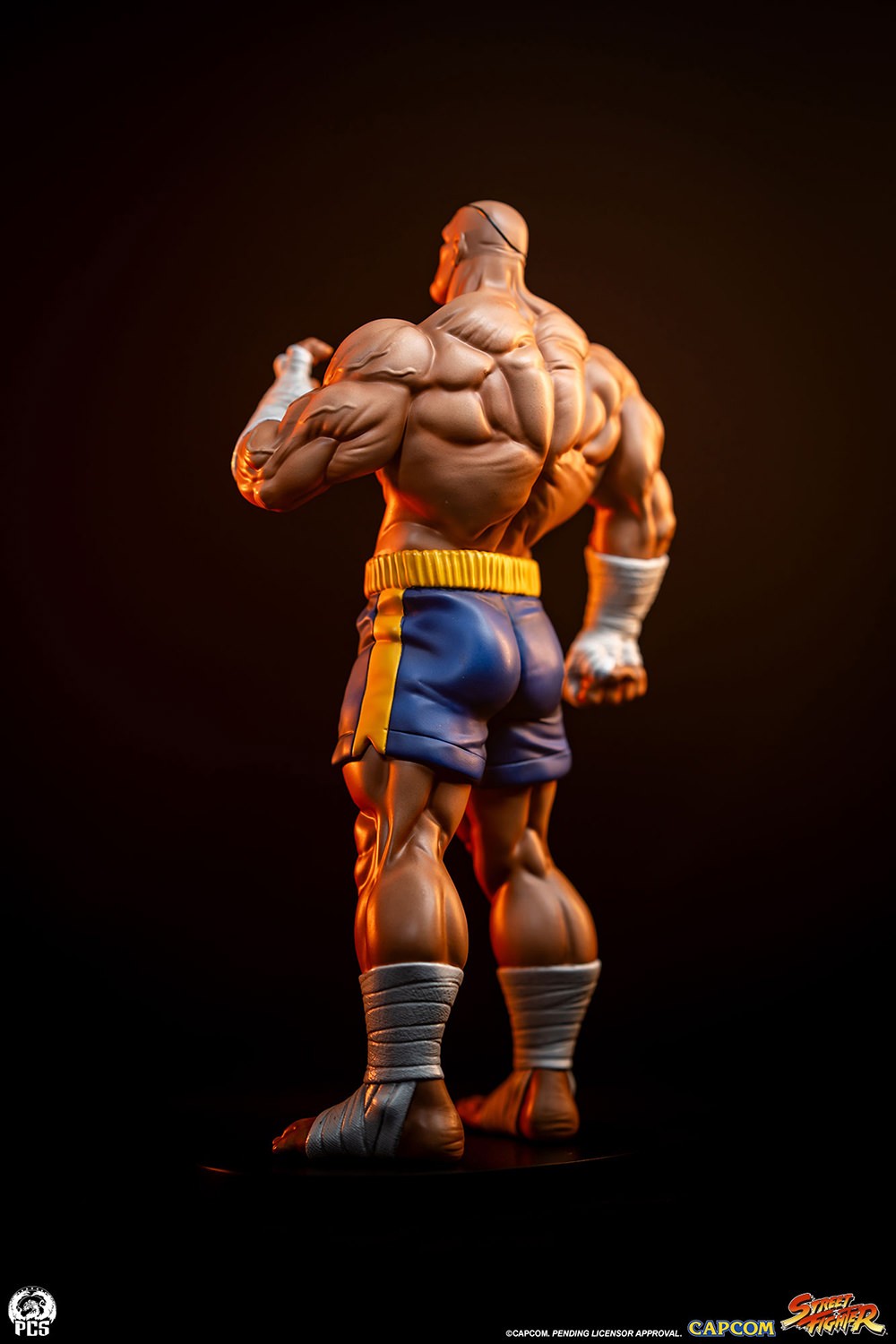 Street Fighter Sagat & Juli 1:10 Scale Statue  (Prototype Shown) View 8