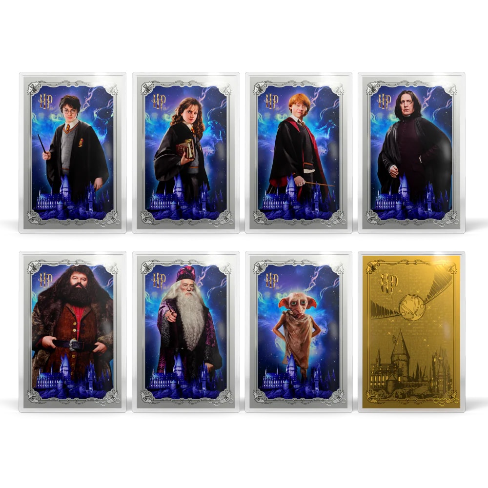 HARRY POTTER™ - 25 Years of Magic Blind Box Silver Collectible by