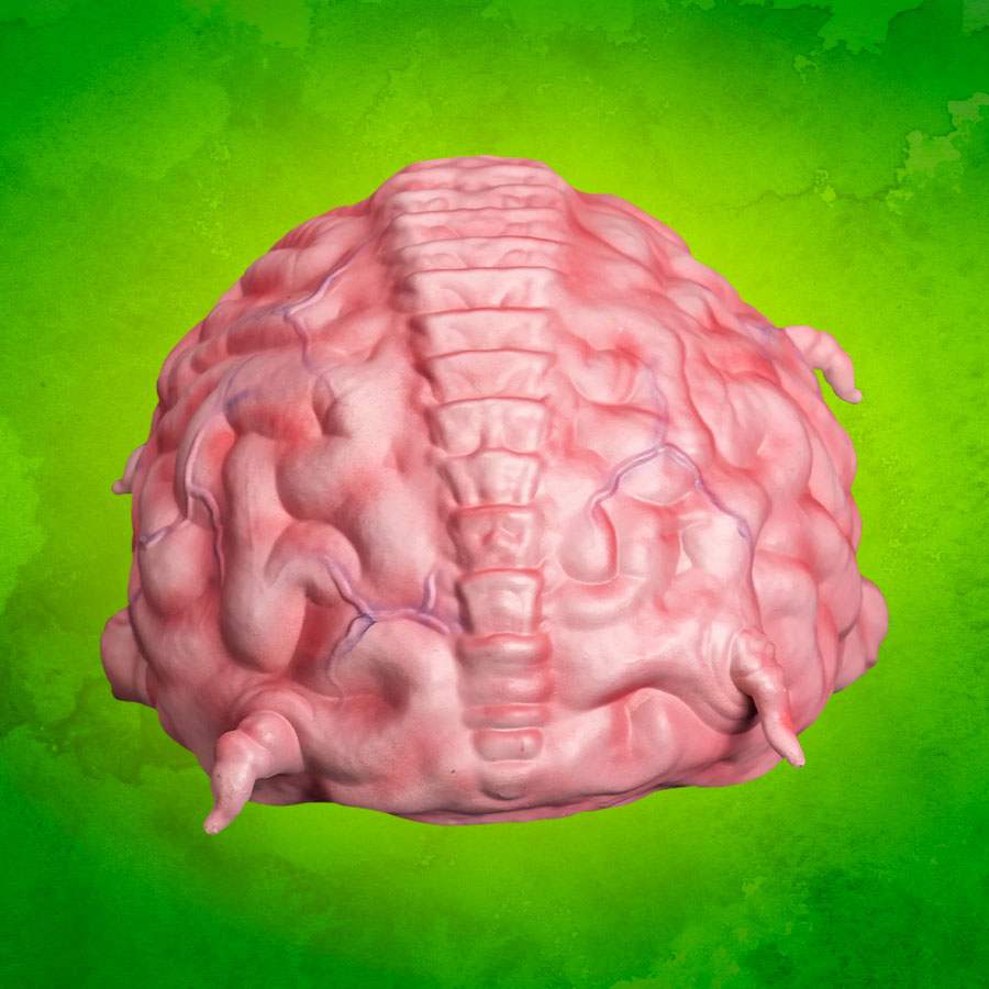 Teenage Mutant Ninja Turtles Krang Prop Replica  (Prototype Shown) View 5
