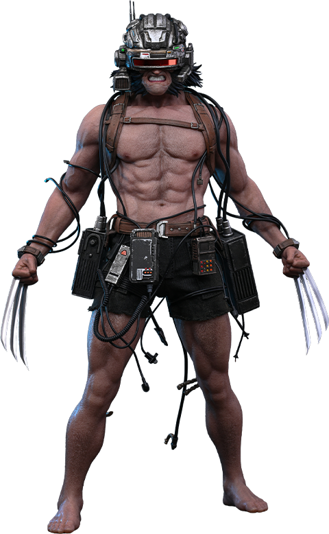 Marvel Weapon X Sixth Scale Figure  (Prototype Shown) View 19