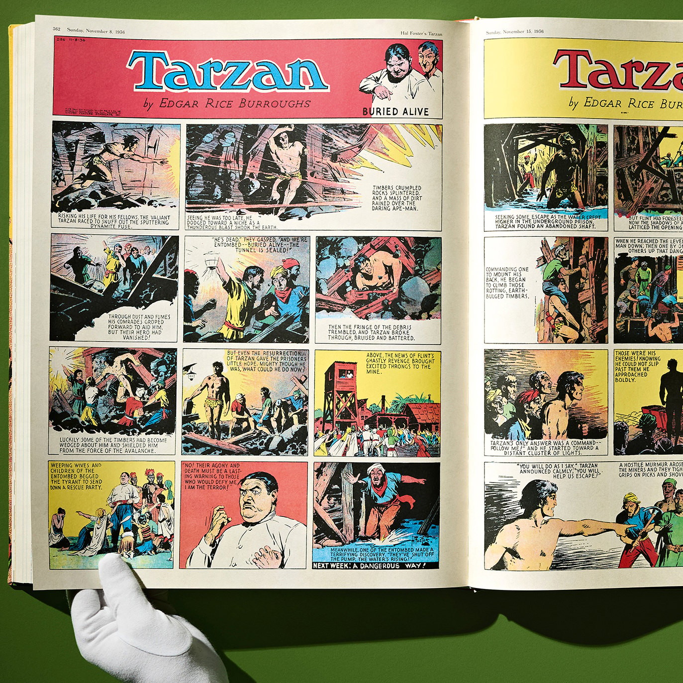 Tarzan Hal Foster’s Tarzan. The Complete Sunday Comics 1931–1937 Book  (Prototype Shown) View 2