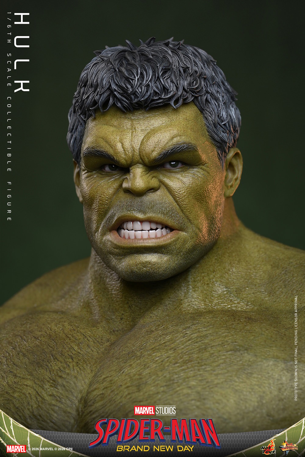 Hulk Sixth Scale Figure by Hot Toys | Sideshow Collectibles