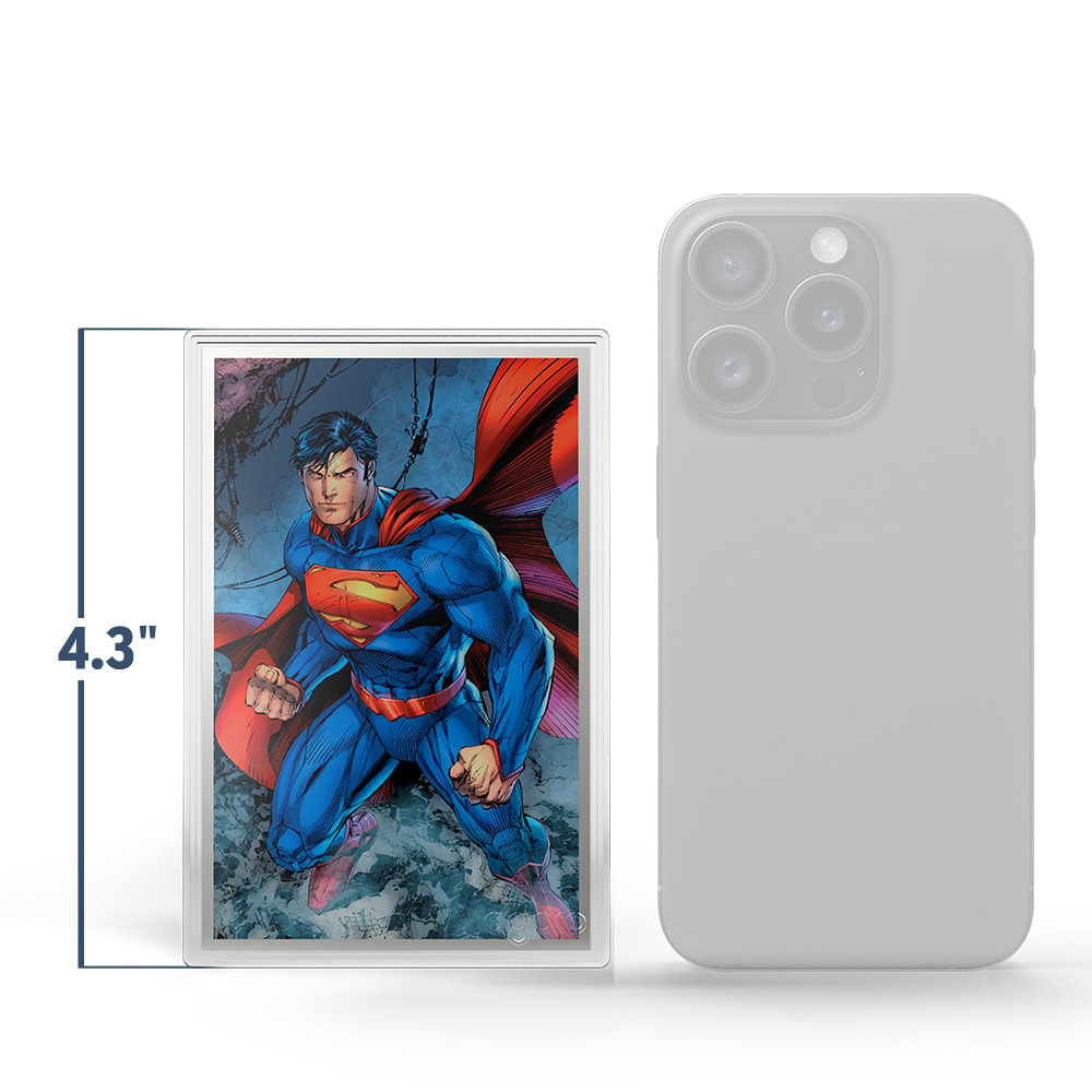 DC Comics DC Trinity Blind Box Silver Collectible  (Prototype Shown) View 2
