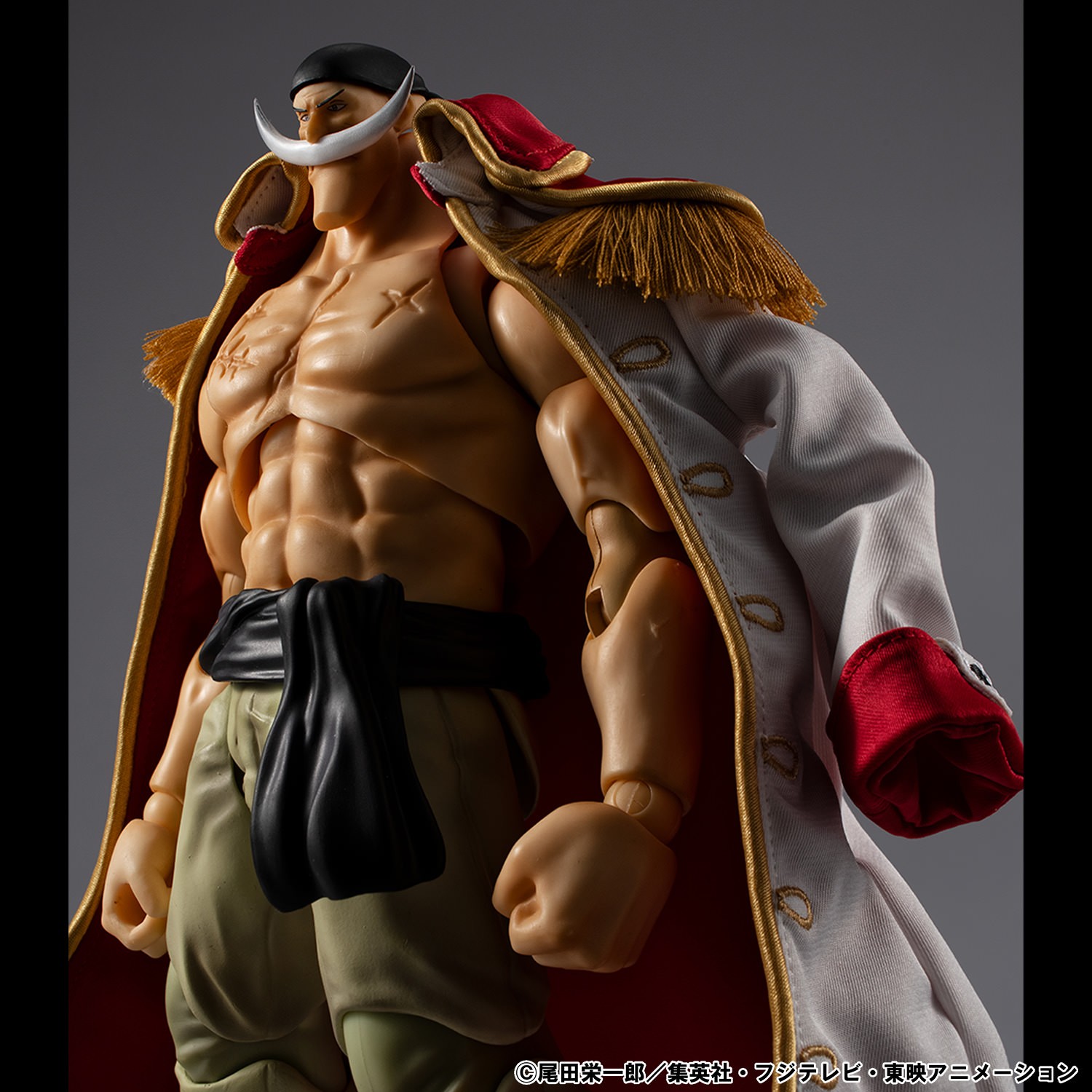 One Piece "Whitebeard" Edward Newgate Ver.1.5 Action Figure  (Prototype Shown) View 6