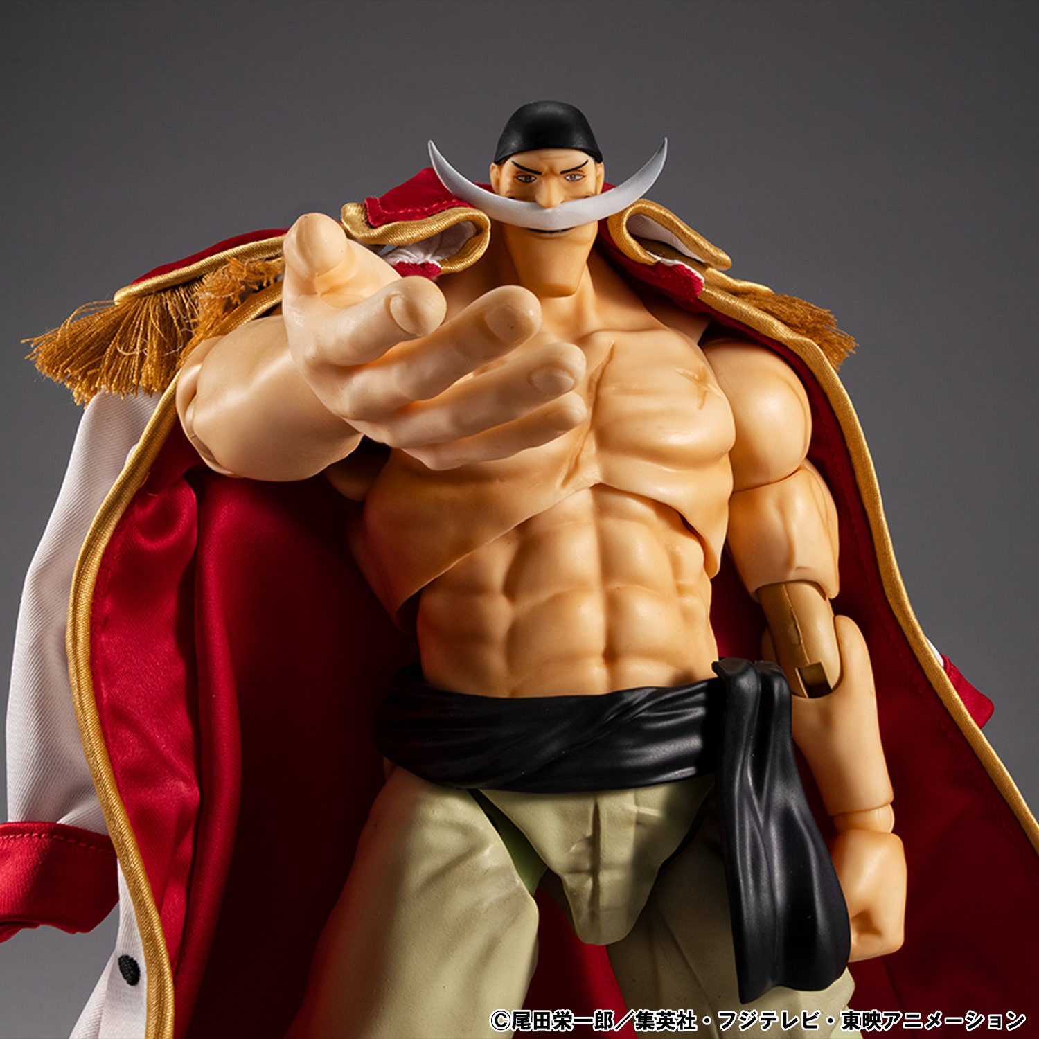 One Piece "Whitebeard" Edward Newgate Ver.1.5 Action Figure  (Prototype Shown) View 7