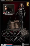 Baroness (Prototype Shown) View 4