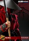 Red Ninja View 3