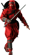Red Ninja View 5