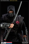 Black Dragon Ninja Collector Edition View 5