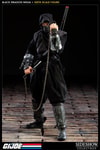 Black Dragon Ninja Collector Edition View 6
