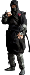 Black Dragon Ninja View 14