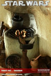 Yodas Hut - Dagobah View 16