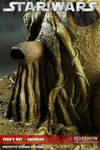 Yodas Hut - Dagobah View 18