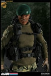 Stalker View 5